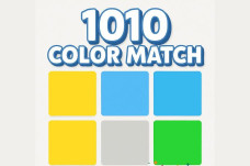 1010 Color Match