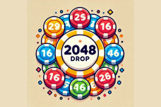 2048 Drop
