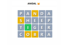 Anidal