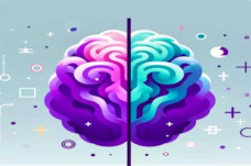 Brain Inverse