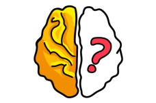 Brain Out