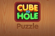 Cube to Hole Puzzle