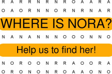 Finding Nora