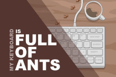 My Keyboard is Full of Ants!