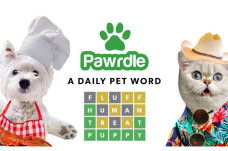 Pawrdle