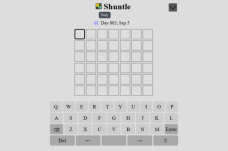 Shuntle