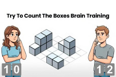 Try To Count The Boxes Brain Training