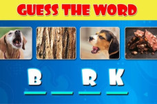 Word Picture Guesser